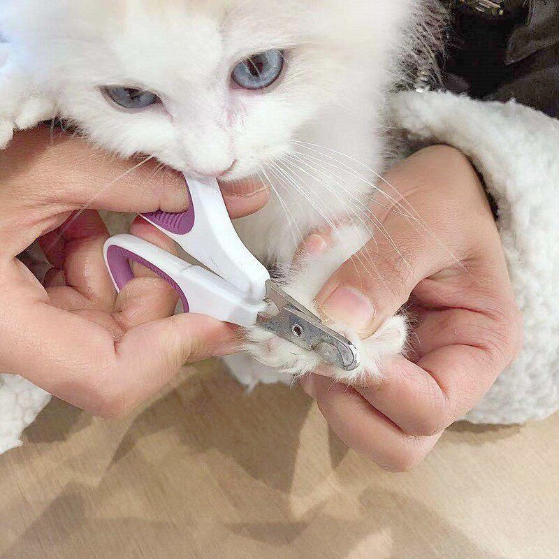 TOMMY&COCO猫咪指甲剪不锈钢猫用防猫抓指甲钳锋利劈宠物用品