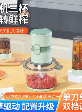 龙德利多功能绞肉机家用