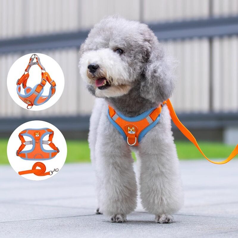 背心式狗狗牵引绳小型犬