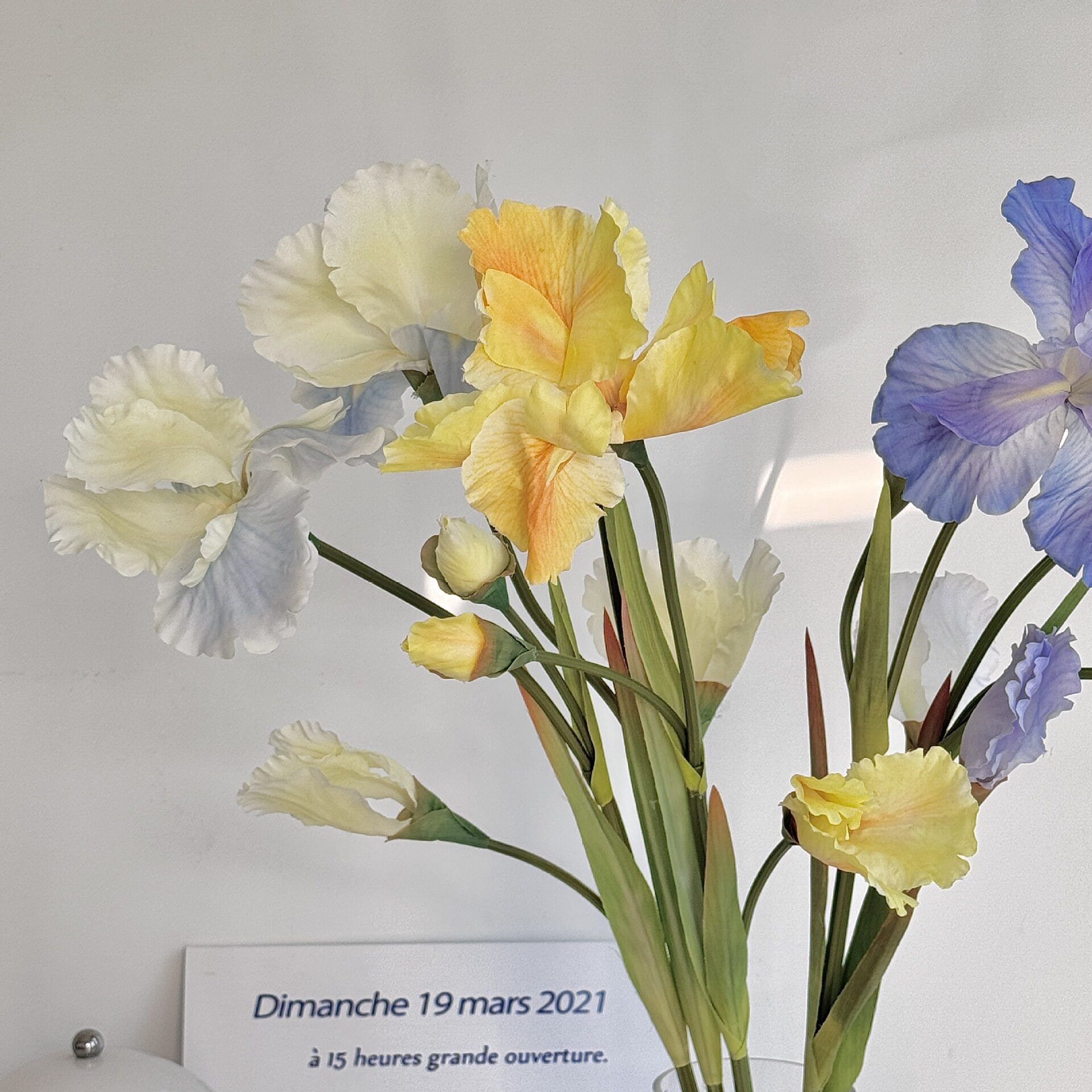 3头爱丽丝鸢尾花仿真花假