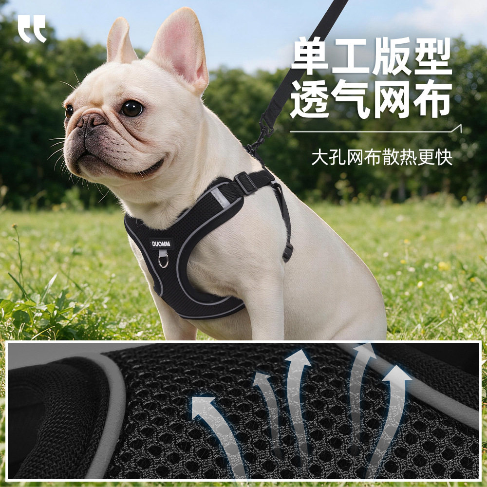 宠物牵引绳外出柯基小狗