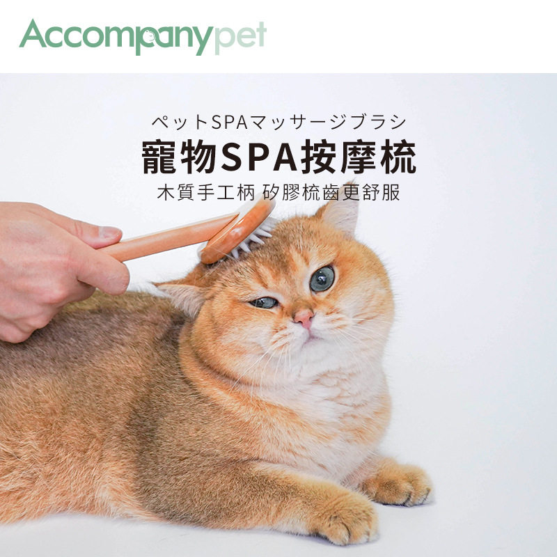 宠物除毛梳子自动褪毛美