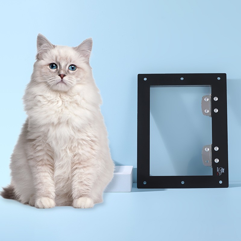 浣熊门猫猫宠物用品便