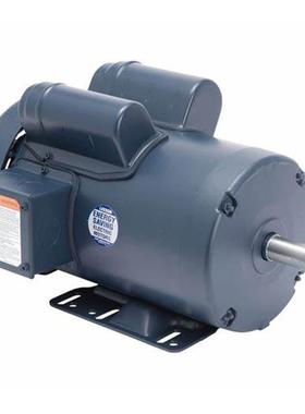 LEESON，联轴器、利森，LEESON制动器/交流电机