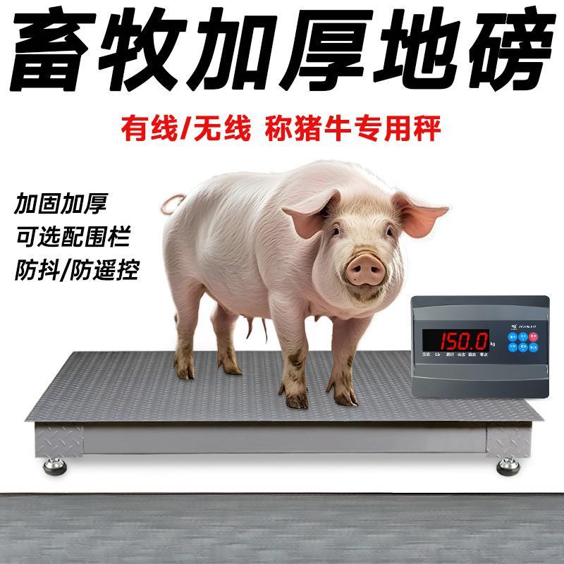 上海加厚畜牧地磅电子秤称牛称猪3吨防遥控防抖高精度地磅秤