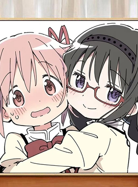魔法少女小圆 鹿目圆晓美焰cp数字油画diy手工填色丙烯油彩画