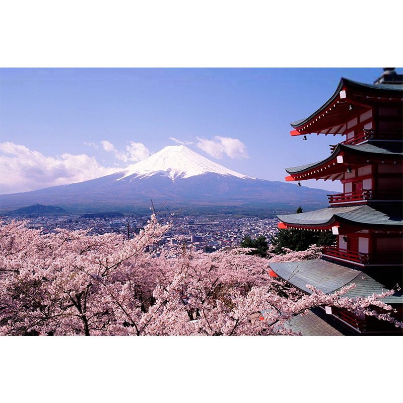 diy日本雪山阁楼风景填充油彩画