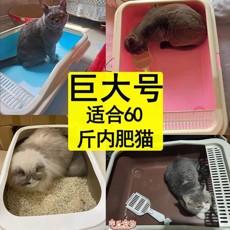 肥猫号巨无霸大型猫砂盆60斤特大5040斤布偶缅因猫咪厕所-封面