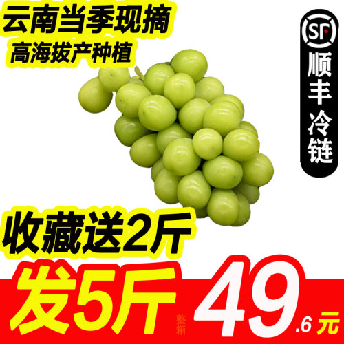 云南阳光玫瑰葡萄香印青提子青葡萄水果青提净4斤新鲜水果晴王
