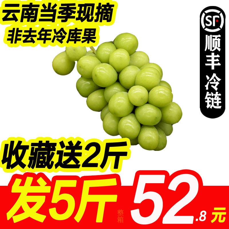 云南阳光玫瑰葡萄香印青提子青葡萄水果青提净4斤新鲜水果晴王