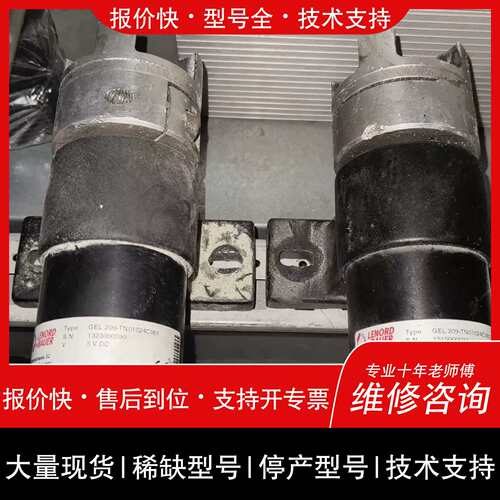 可维修LENORD BAUER GEL 209TN001024C0议价