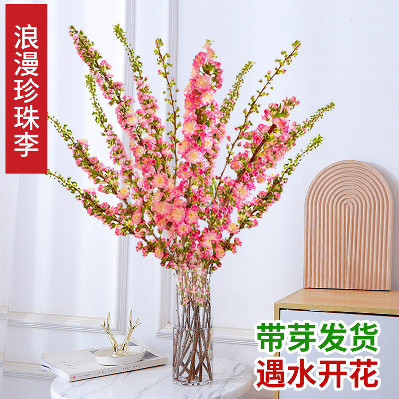 水培珍珠李鲜切枝樱花鲜花绿植物室内好养花卉桃花束水养雪柳干枝,鲜花速递/花卉仿真/绿植园艺,花材,淘宝优惠券,粉丝福利购,淘宝优惠卷