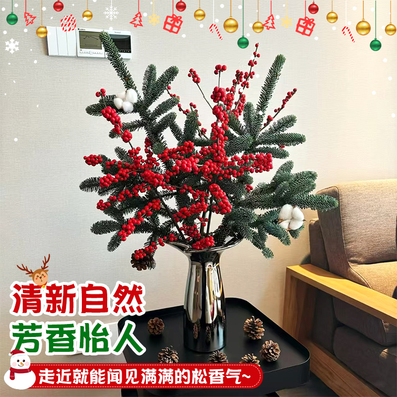 花叶春诺贝松植物基地直发，新鲜