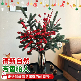 花叶春水培诺贝松切枝花束圣诞节礼物真树圣诞树桌面装饰插花材料