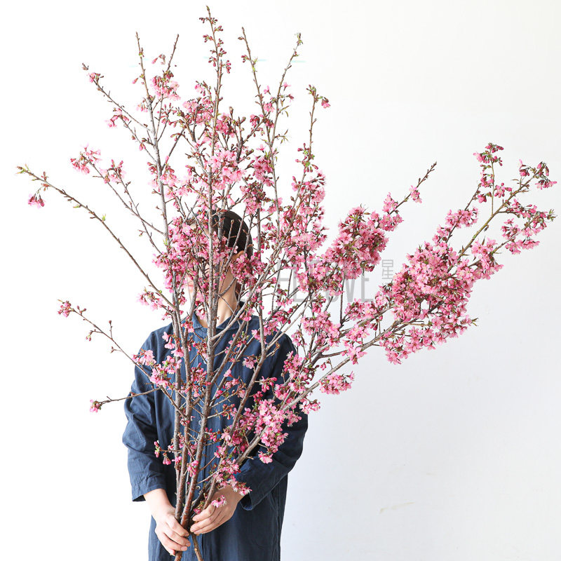 花叶春粉色樱花鲜枝水培桃花干枝珍珠李鲜花室内客厅观赏年宵花,鲜花速递/花卉仿真/绿植园艺,花材,淘宝优惠券,粉丝福利购,淘宝优惠卷