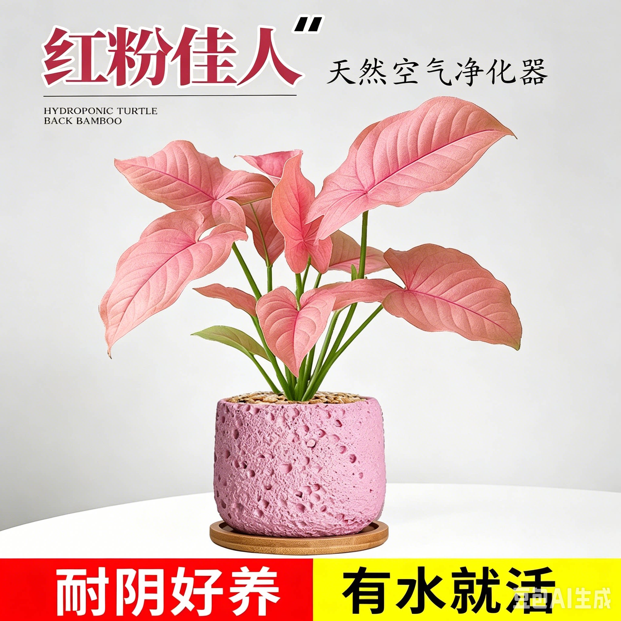 红粉佳人盆栽四季观叶好养绿植物办公室内桌面摆件合果芋彩色花卉