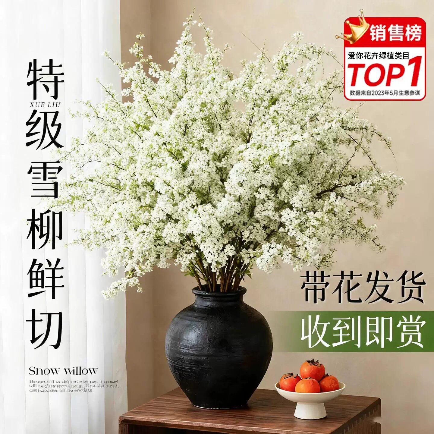 鲜枝雪柳带花苞干支水养水培花卉绿植物室内插花龙柳鲜支枯木逢春