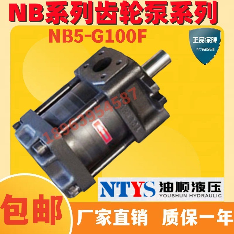NTYS  南通油顺 NB5-G100F G40F G50F G6L3F NB5-G80F内啮合齿轮