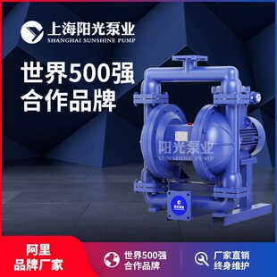 定金 40不锈钢隔膜泵污水隔膜泵 DBY型电动隔膜泵型号r dby