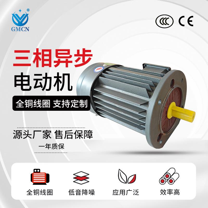 YE3-200L1/L2-6极三相异步电机 18.5KW/22KW塑料机械用电动机