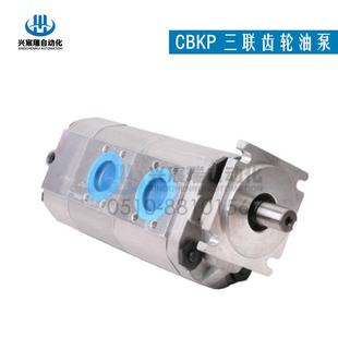 CBKP齿轮油泵 CBKP100 供应CBKP63 CBKP80