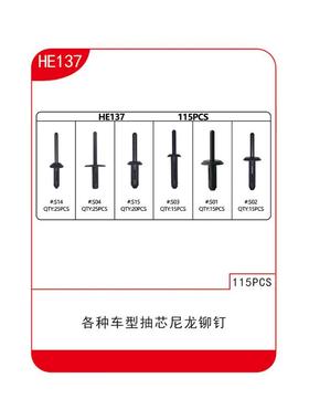 适用于各种车型通用型抽芯尼龙铆钉115pcs套盒HE137
