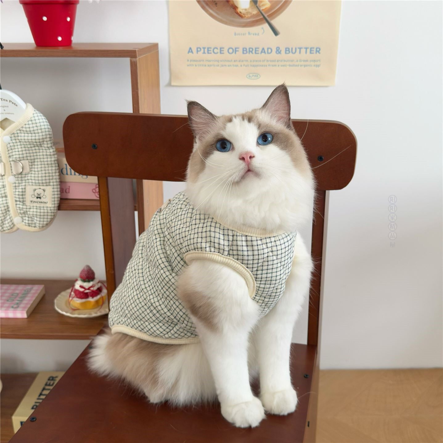 秋冬装狗狗猫咪衣服冬季保暖防静电可爱金吉拉金银渐层无袖棉马甲