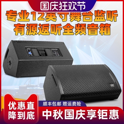 有源12寸返听全频音箱大功率