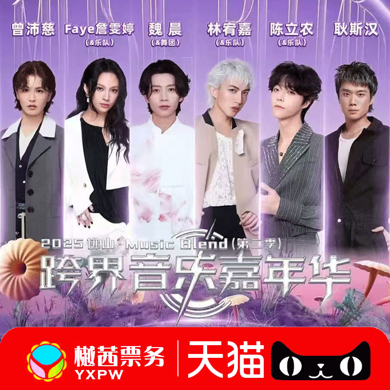 跨界音乐嘉年华2025Music Blend林宥嘉魏晨佛山站演唱会门票 前排