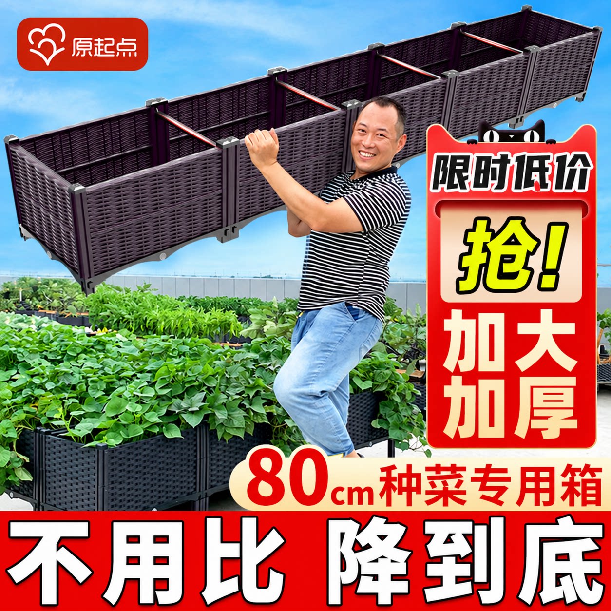 大号塑料种菜箱多款任选厂家直销图片