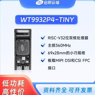 立创开源 MIPI DSI 启明云端ESP32 RISC TINY开发板 CSI