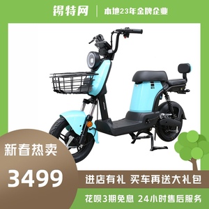 爱玛E350电动自行车新国标可上牌电动车男女电瓶车亲子自行车亲子