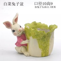 可愛風(fēng)雜物多肉花盆園藝家居擺設(shè)