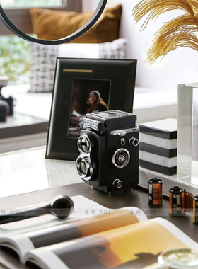 摄影主题简约现代风双反相机模型