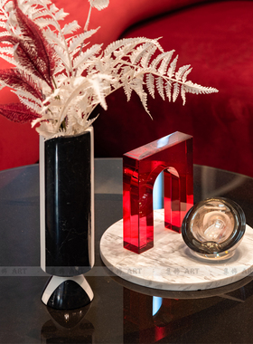 轻奢风圆形黑白拼色茶几组合托盘