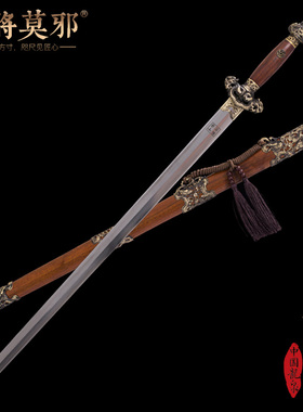 干将莫邪龙泉市陈少卫工艺品九龙剑清剑百炼钢刀剑冷兵器未开刃