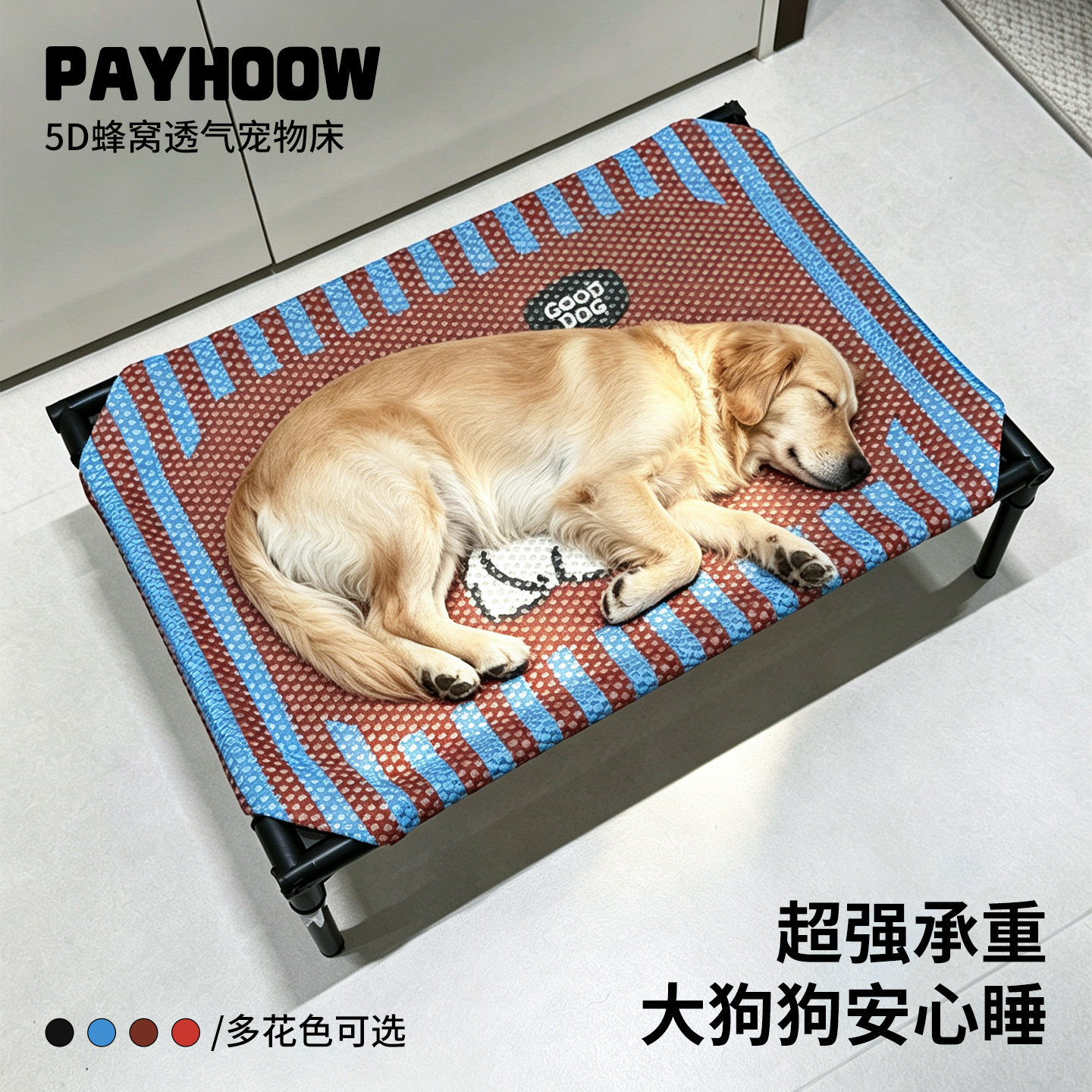 5D蜂窝狗狗行军床卡通印花离地防潮宠物床中小型犬可拆洗透气狗窝