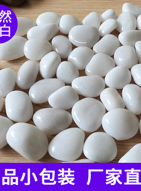 白色鹅卵石郁金香水培石头抛光白石子雨花石原石养花天然风水石春