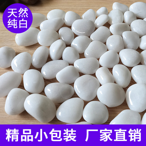 白色恶鹅卵石郁金香水培石头