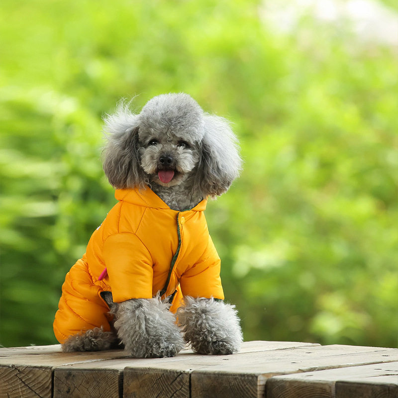 狗狗衣服保暖棉衣泰迪博
