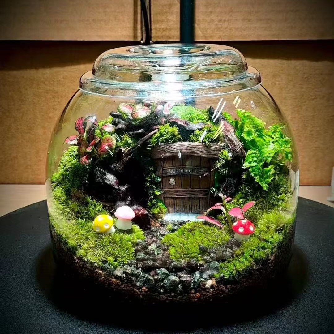 微景观生态瓶苔藓玻璃瓶