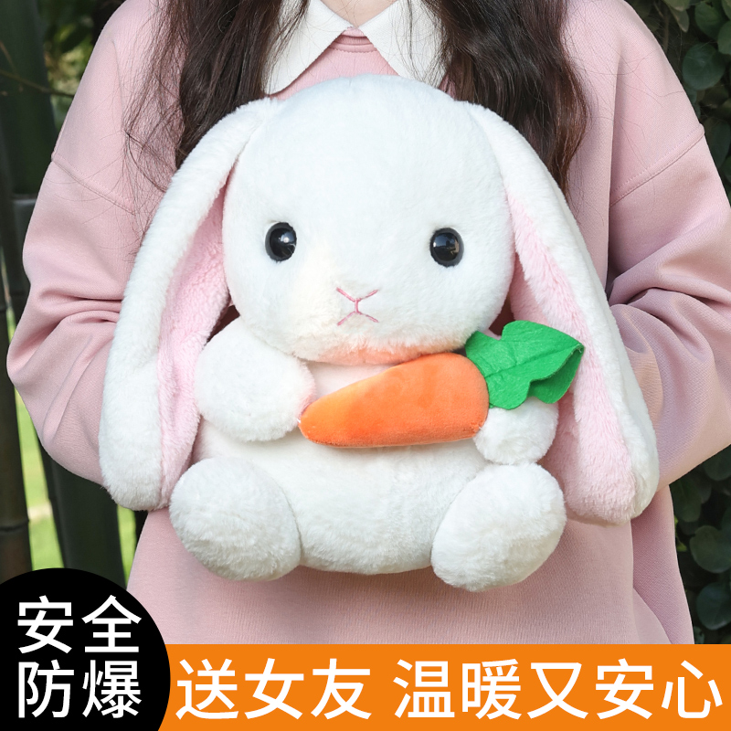 2025新款充电暖宝宝可爱毛绒热水袋送女朋友暖冬礼物电热宝可拆洗