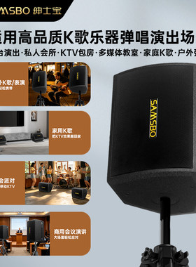 绅士宝户外K歌音响大功率专业乐器舞台演出专用家庭KTV卡拉OK音箱