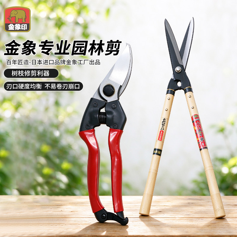 日本金象专业园林剪园艺剪刀树枝修剪器木柄剪刀园艺工具园艺刀剪