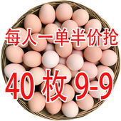 新鲜整箱批发 农家散养土鸡蛋正宗乌鸡蛋绿壳蛋混合装 40整箱