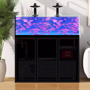 极窄溪流缸鱼缸侧溢流超白底滤客厅大中型原生缸南美缸兰寿缸三湖