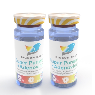 1瓶荷兰鸽宝贝巴拉米哥+腺病毒基因克隆工程鸽源毒株水剂灭活苗