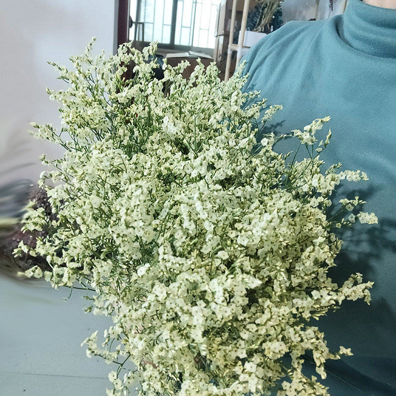 新品水晶草新鲜干花客厅装饰背景