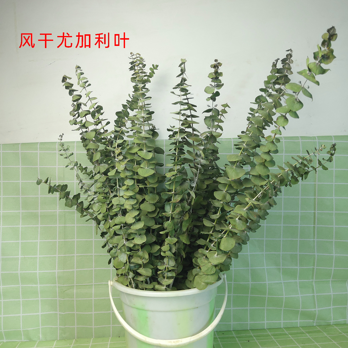 尤加利叶干花风干客厅背景装饰真花桉树花束搭配叶拍摄道具实拍