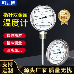温度计工业用不锈钢测温针双金属径轴向探针锅炉管道插入式温度表